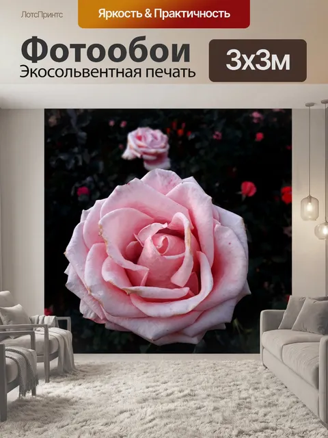 Фотообои Сад
