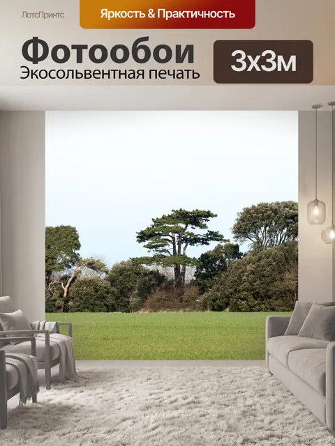 Фотообои Деревья