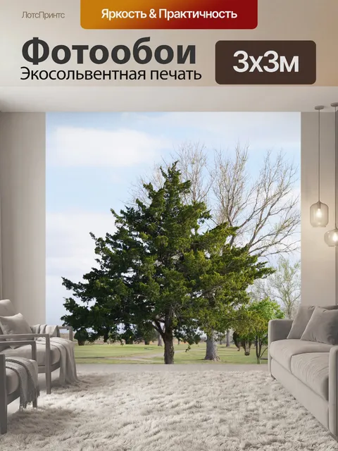 Фотообои кипарис