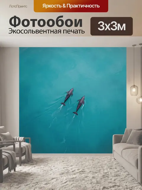 Фотообои Два дельфина в бирюзовом море