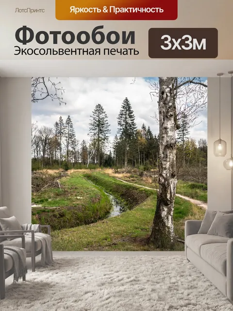 Фотообои Деревья