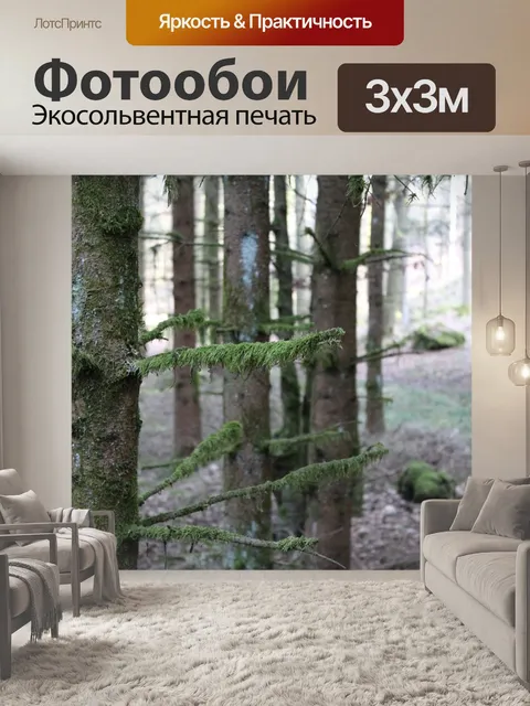 Фотообои Лес