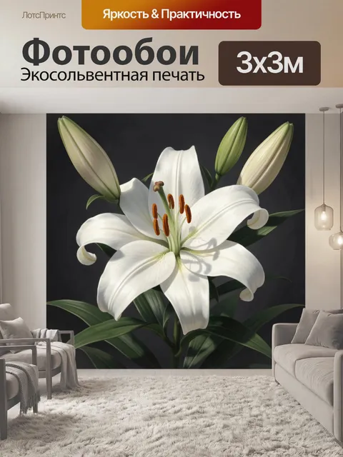 300 × 300 см · Экосольвентная печать