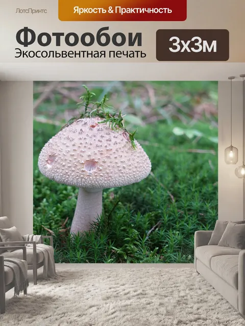 Фотообои Гриб