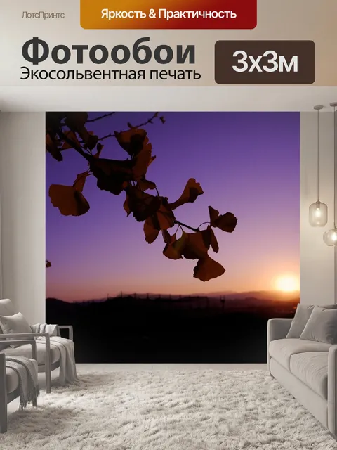 Фотообои Дерево гинкго