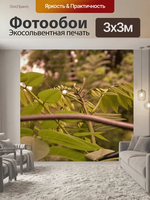 Фотообои Листья
