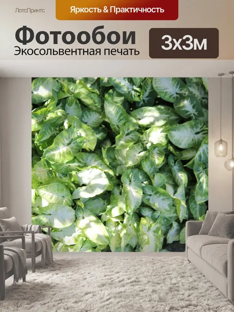 Фотообои листья фон