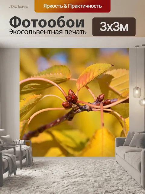 Фотообои Листья