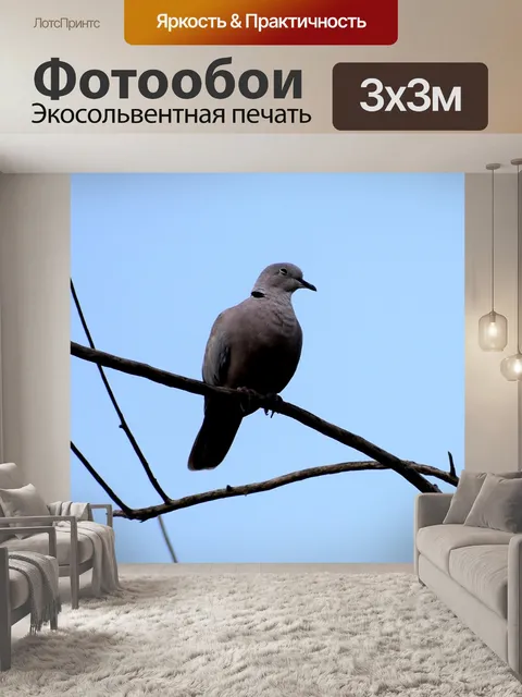 Фотообои Природа