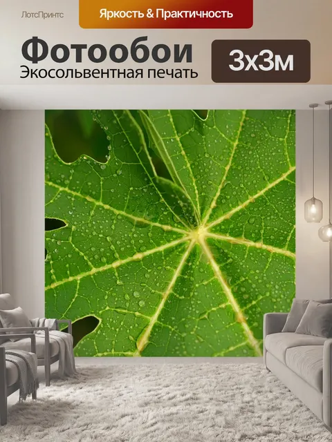 Фотообои Листья папайи