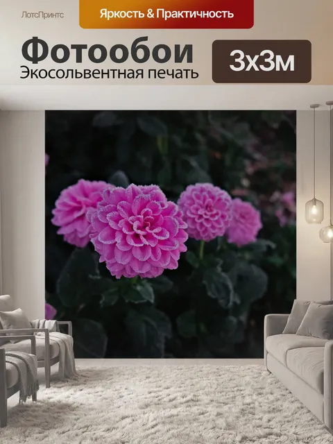 Фотообои Георгин