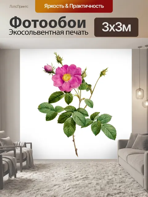 Фотообои Роза цветок старинная картина