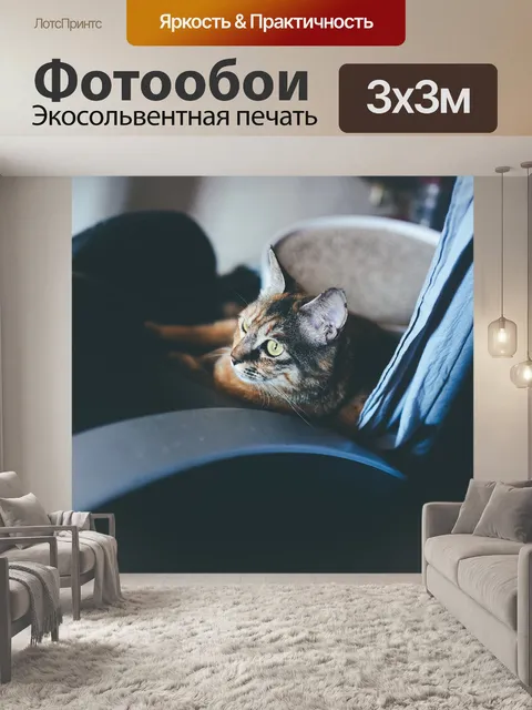 Фотообои Кошка