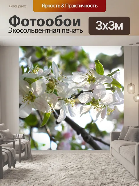 Фотообои Вишня