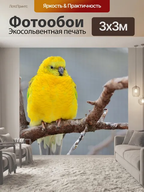 Фотообои Птица