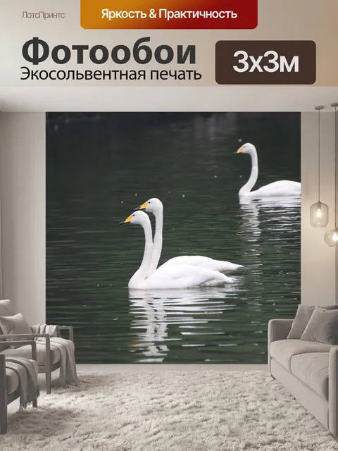 Фотообои Лебеди