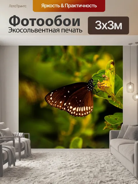 Фотообои Бабочка