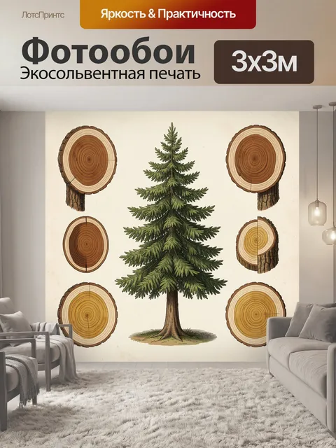 Фотообои Ель и срезы древесины
