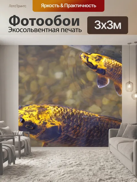 Фотообои Рыбы