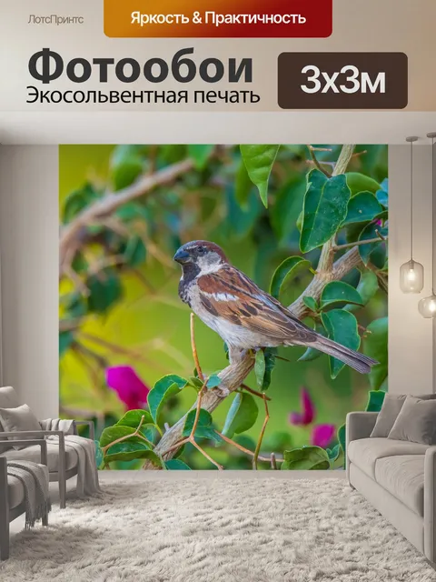 Фотообои Птица