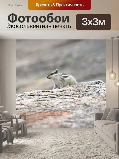 Фотообои Животное
