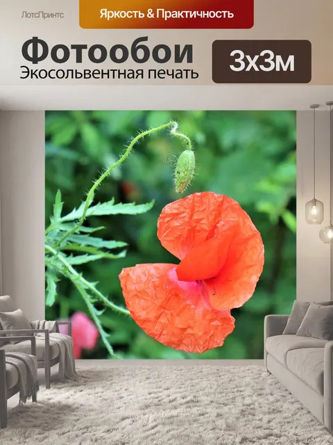 Фотообои Маки
