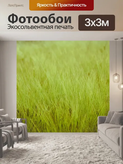 Фотообои Колосья