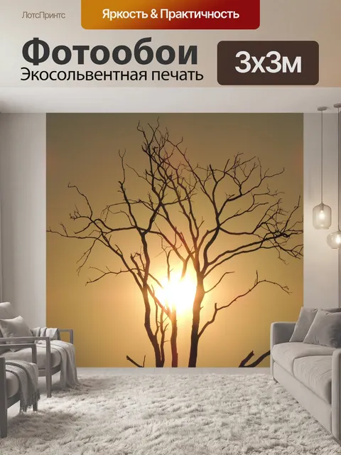 Фотообои Закат