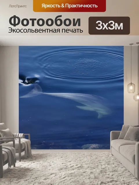 Фотообои Дельфин