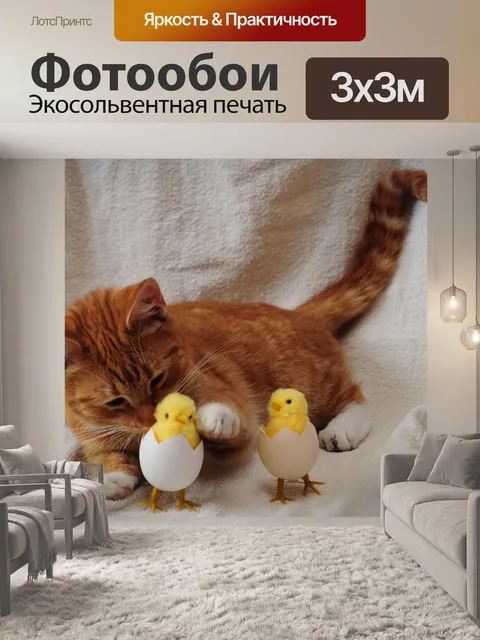 Фотообои Кошка