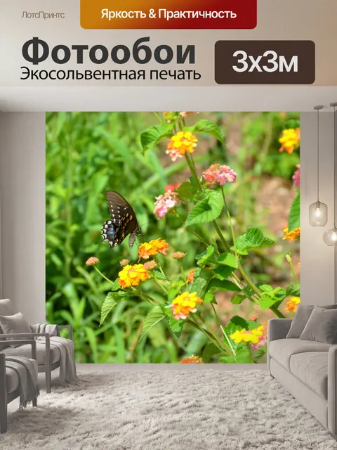 Фотообои Черный Махаон Бабочка