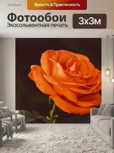 Фотообои Роза