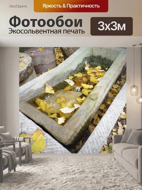 Фотообои Раковина