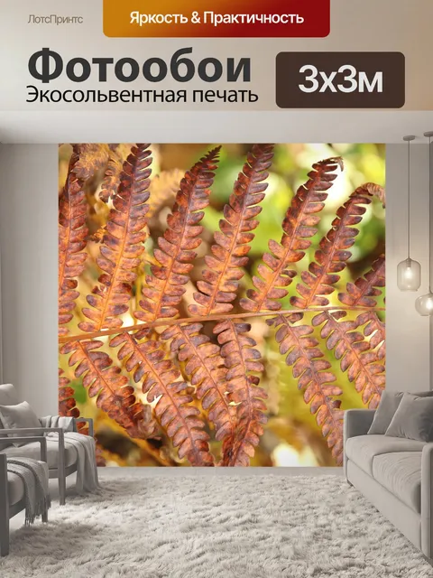 Фотообои Папоротник