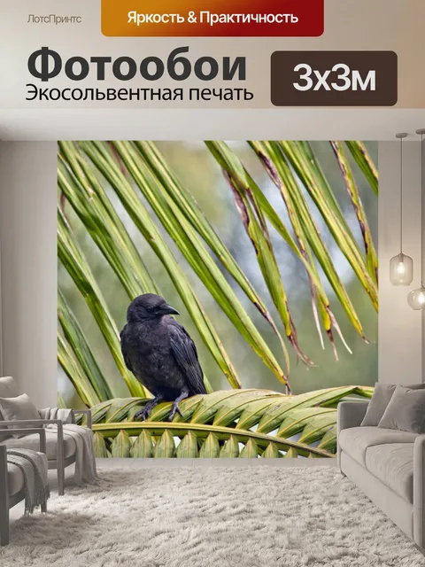 Фотообои Черная птица