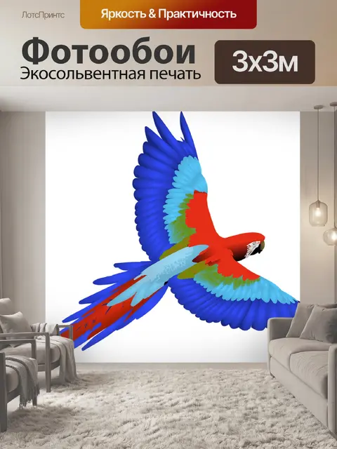 Фотообои Птица