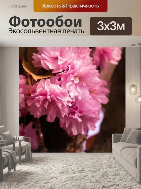 Фотообои цветами вишни