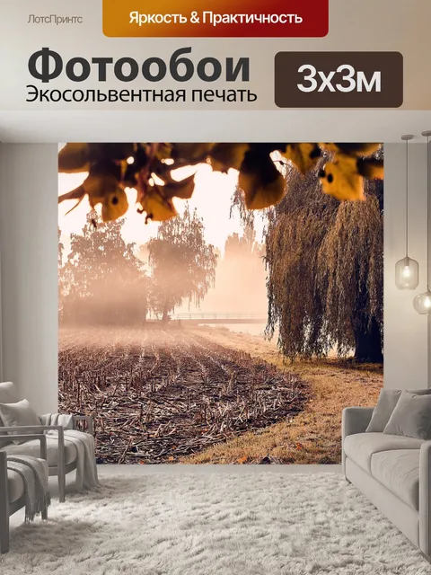 Фотообои Падение