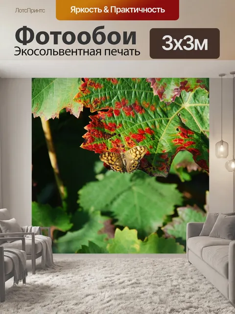Фотообои Лист