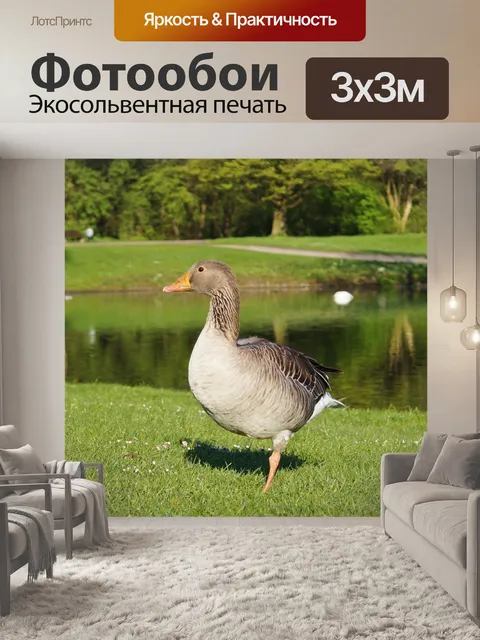 Фотообои Птица