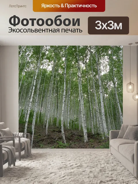 Фотообои Береза