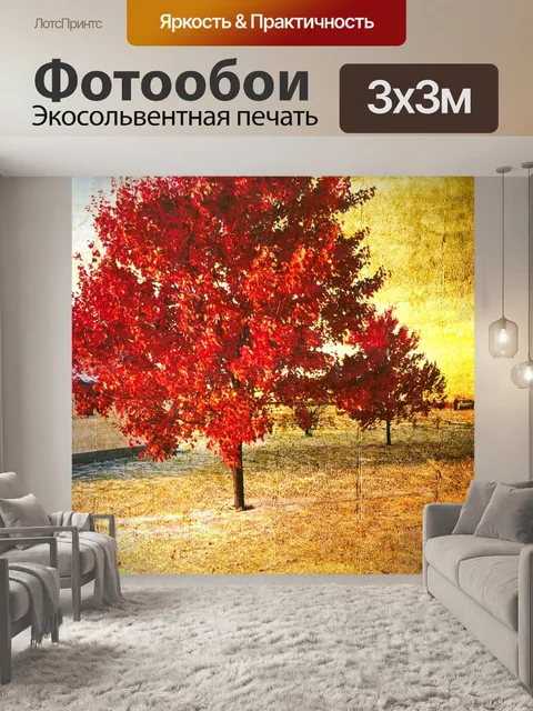 Фотообои Задний план