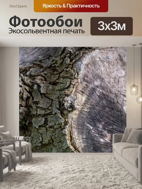 Фотообои Кора