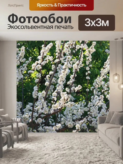 Фотообои плотные белые цветы