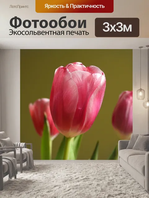 Фотообои Тюльпаны