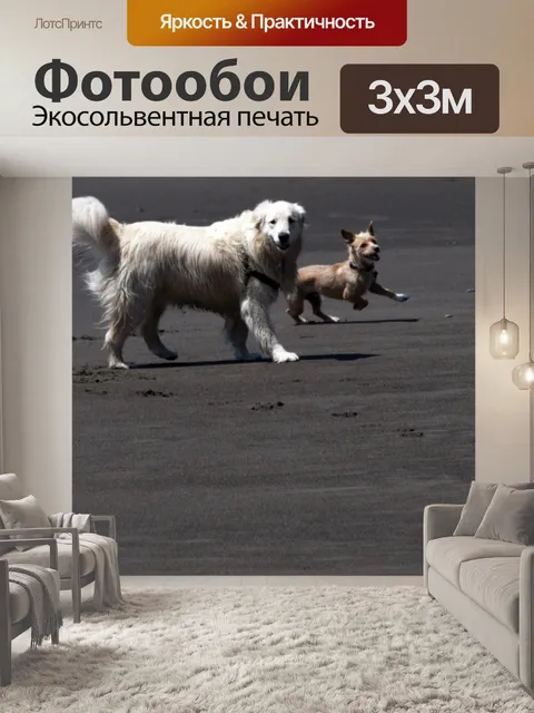 Фотообои Счастливые собаки на пляже