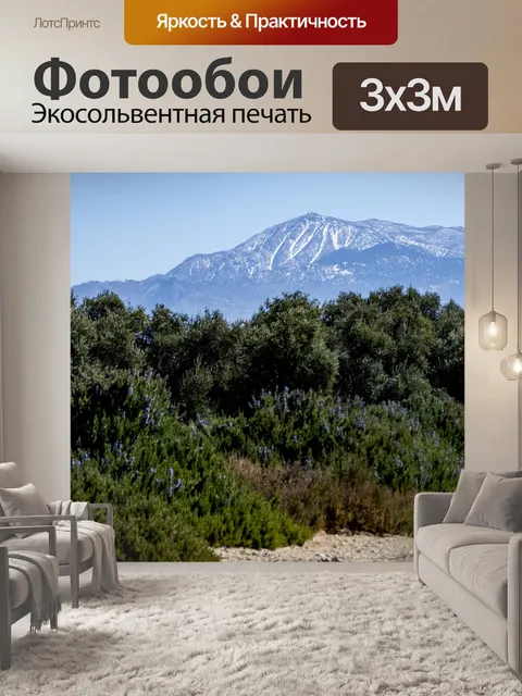 Фотообои Лавандовый Пейзаж