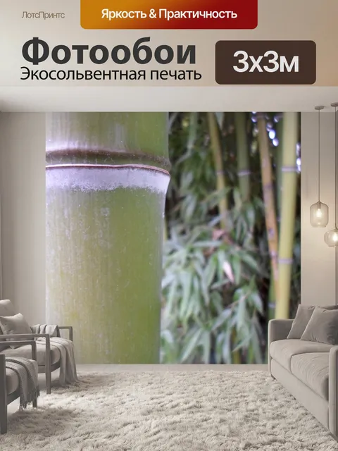 Фотообои Бамбук, зеленая листва, растительность