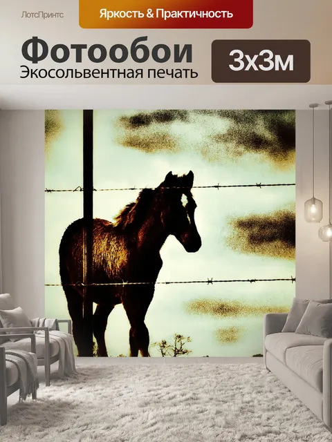 Фотообои Лошадь