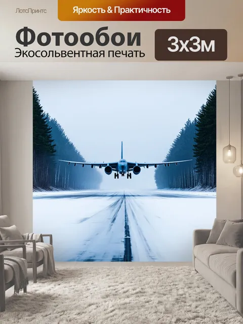 Фотообои пейзаж с российским самолетом